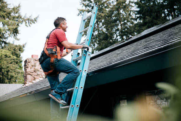 Best Asphalt Shingle Roofing  in Naples, FL